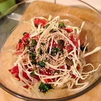 Snapdishの料理写真:Cabbage and "Chioggia" beet salad with coriander. Nuts oil and pear vinegar|jamilleさん