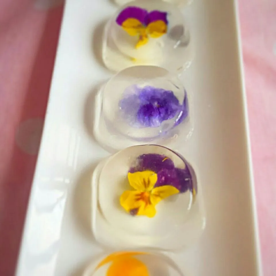 edible flower jellies|Chua Jeanさん