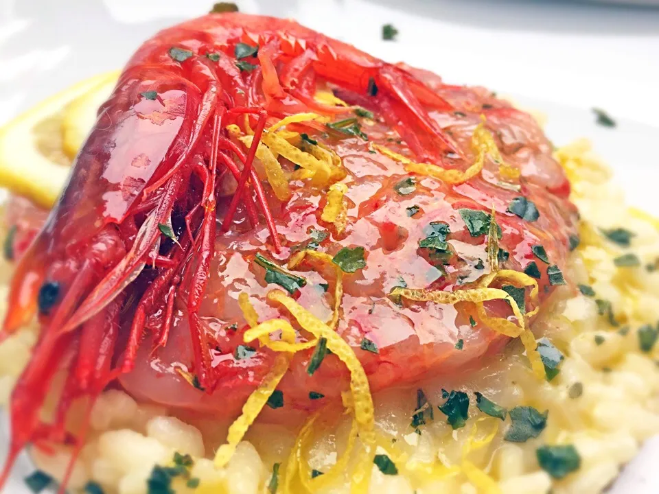 Creamy Lemon zest Risotto topped with raw Red Prawns tartare|laura giardinaさん