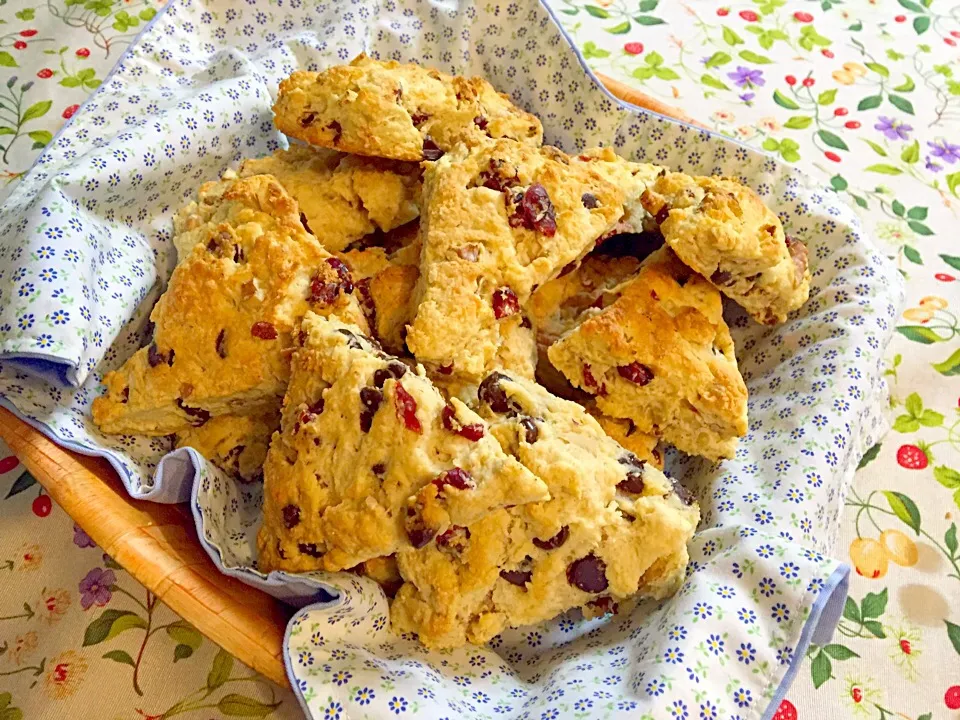 Chocolate cranberry scones|Kaori Kanekoさん