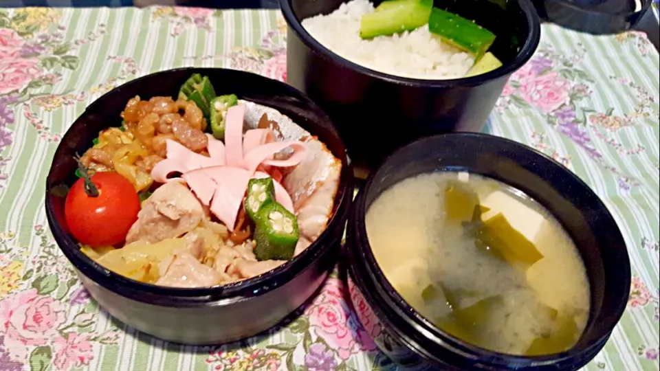 お弁当。鶏とキャベツの味噌和えと塩サバと残りの回鍋肉とお味噌汁。|エリカさん