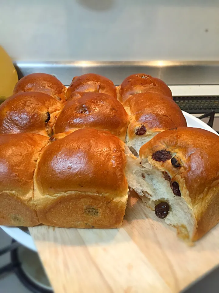 #ちぎりパン#レーズン🍇クルミ🌰ブレッド🍞ハチミツたっぷりなので、しっとり😀|ようこさん