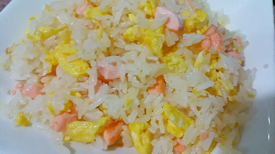 Fried rice for my doggie|🌷lynnlicious🌷さん