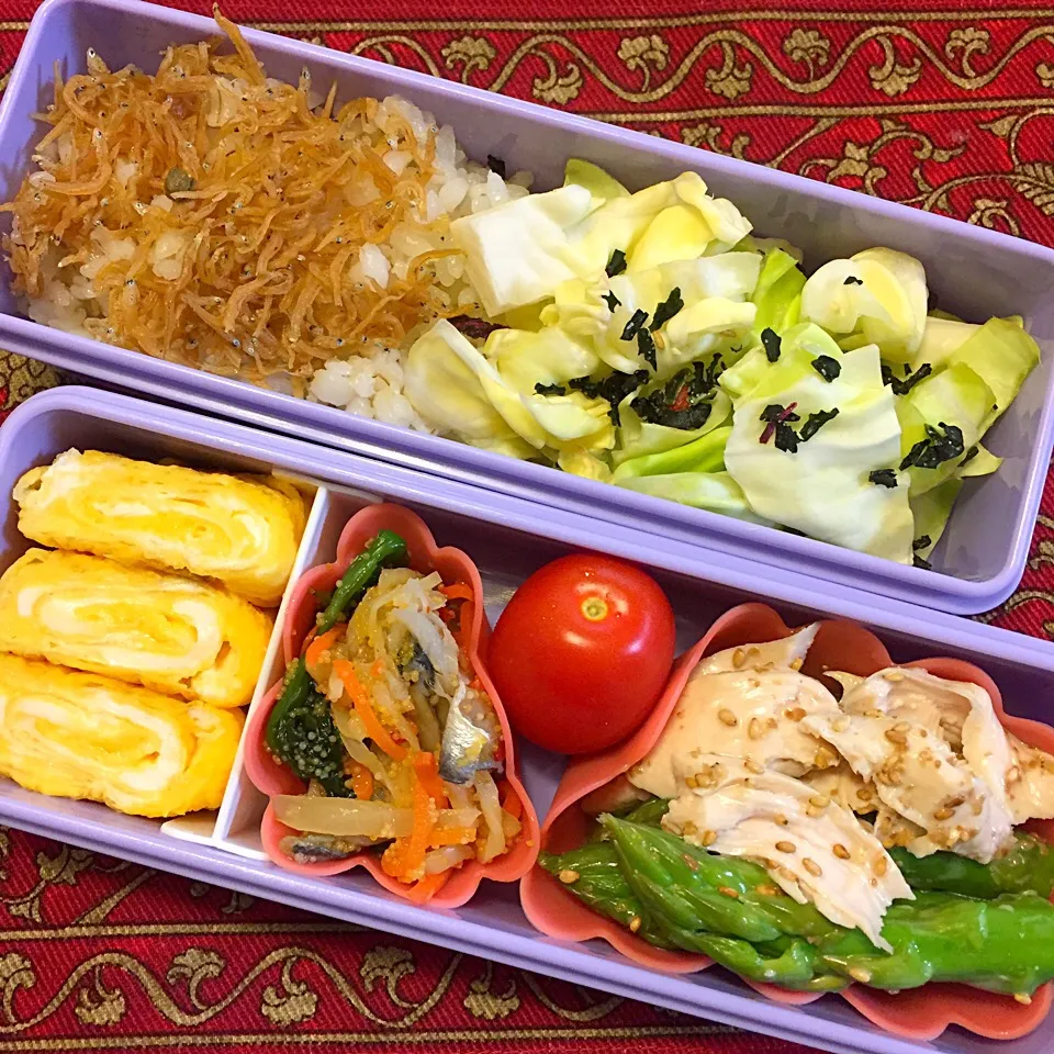 鶏ささみとアスパラガスの胡麻和えとままかり弁当|もえさん