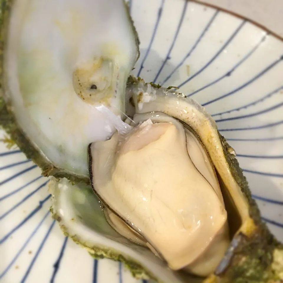 開け方が分からないけど、どうしても食べたい一心で無理矢理こじ開けて食べましたよ😂|ヨッチャンさん