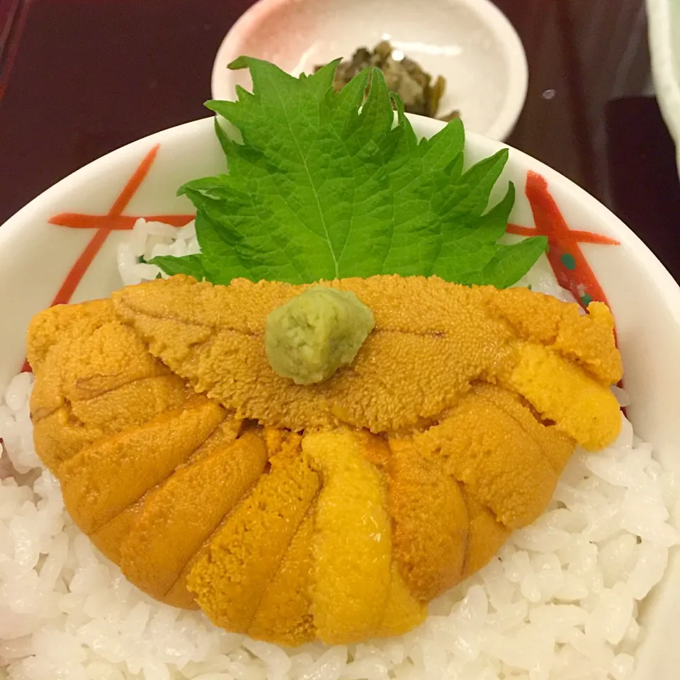 Snapdishの料理写真:札幌での〆はウニ丼。みょうばんなしのウニ丼だよ♪|リュカさん