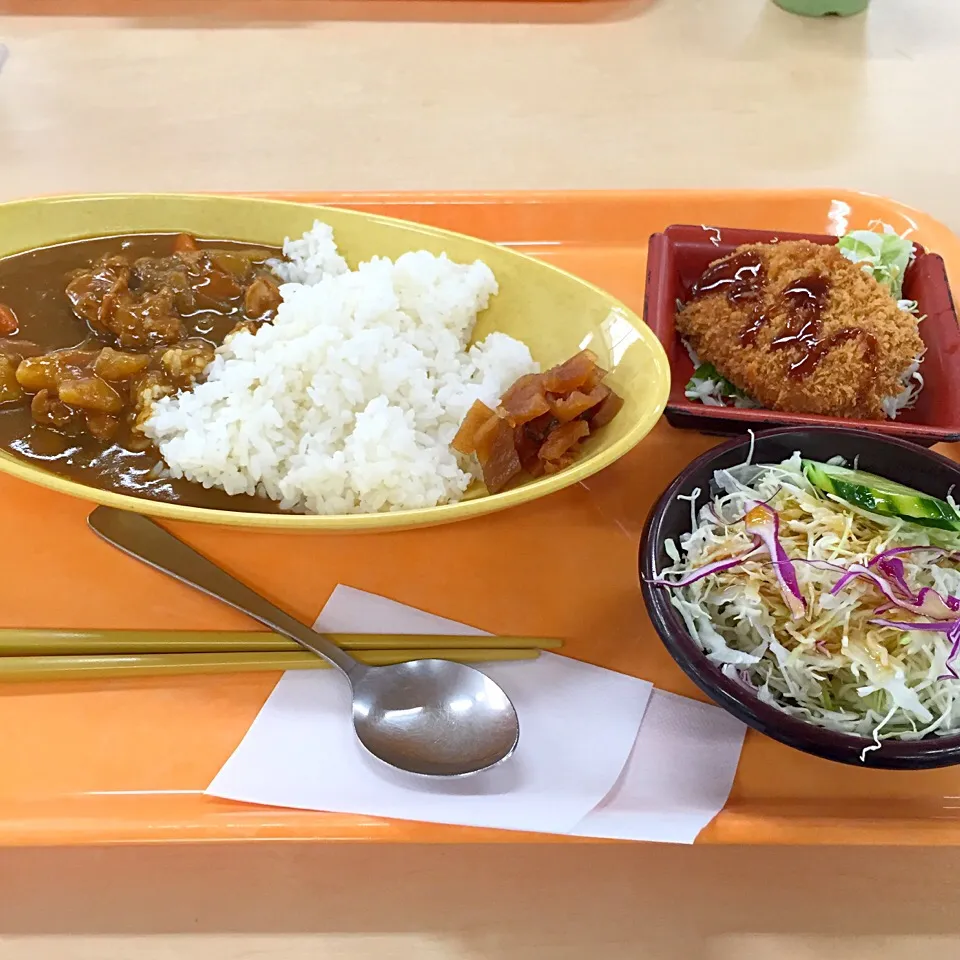 チキンカレーにチキンカツ(^O^)／|すかラインさん