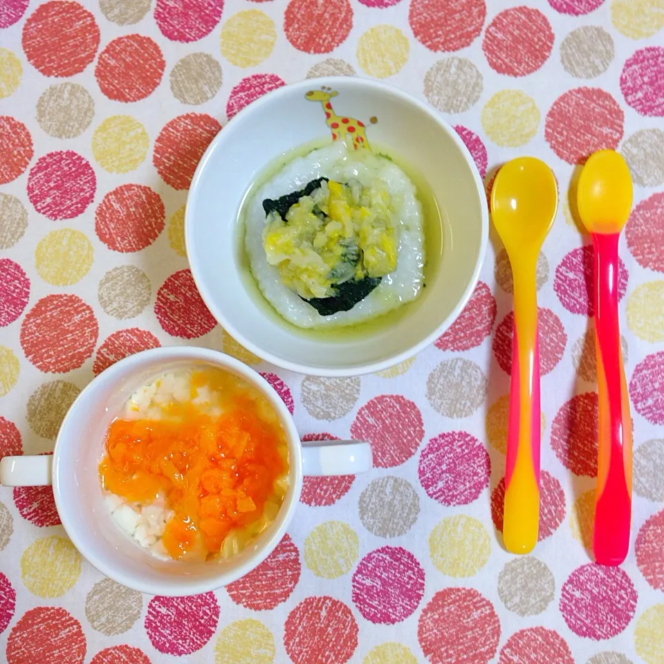 Snapdishの料理写真:春キャベツとほうれん草のお粥、豆腐と人参のだしあんかけ|yocco-babyfoodさん