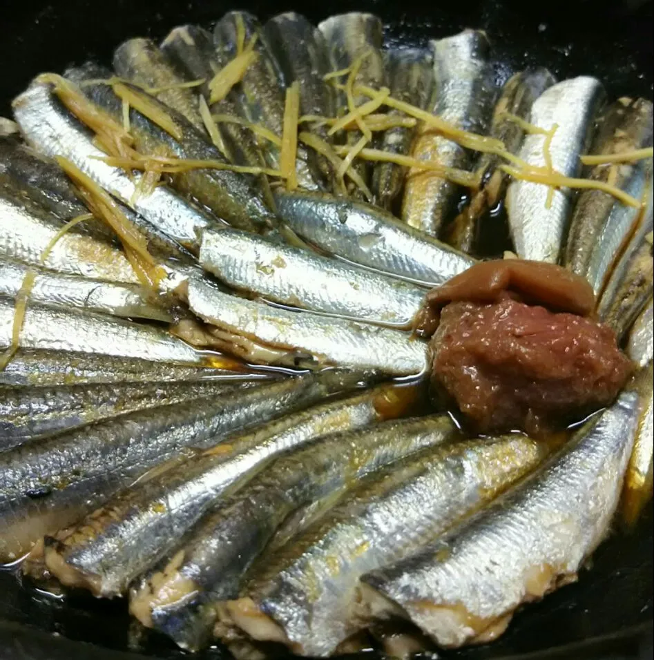 小鰯煮 梅干しと生姜で😋|あらいぐまのしっぽさん