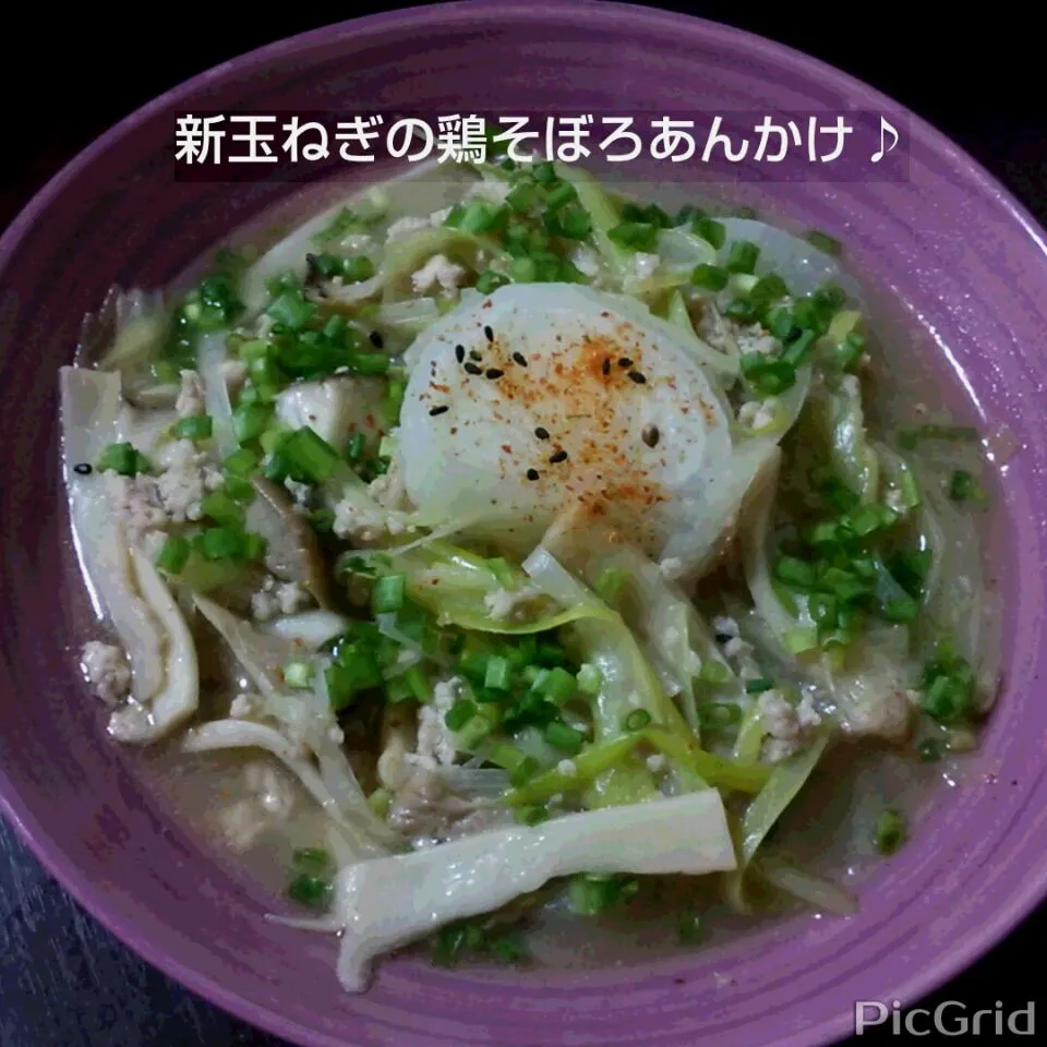 ボンバーさんの新玉ねぎの鶏🐔そぼろあんかけ💕|ゆっこさん