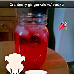 Vodka & cranberry ginger ale|Kristina Paris Fergusonさん