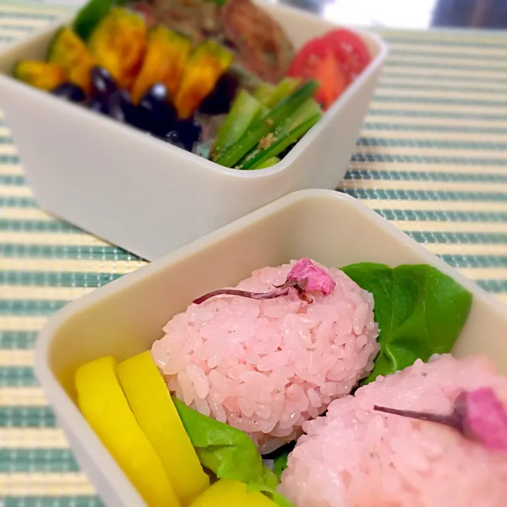 桜ご飯で春のお弁当♡|はるかさん