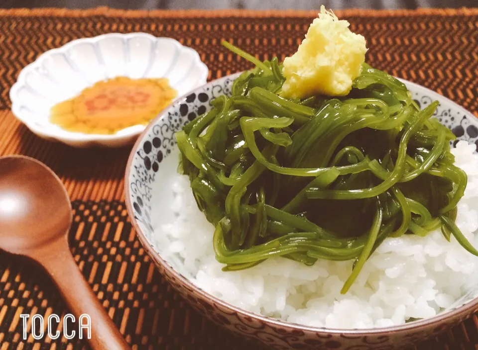 春です🌸生めかぶ丼🌱🍚✨ズルズルモリモリ*｡٩(ˊωˋ*)و *｡|toccaさん