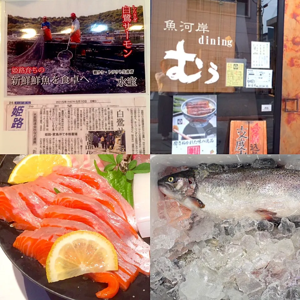 Snapdishの料理写真:姫路🏯 魚河岸diningむぅ 白鷺サーモンあるよ(^^)|Toru Satoさん