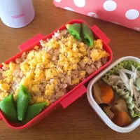 女子高生の鶏そぼろ弁当|ハマルさん