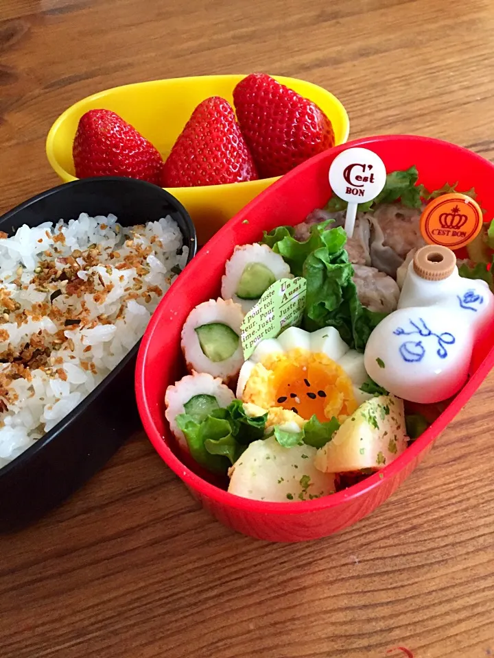 3/23 お弁当|カタツムリさん