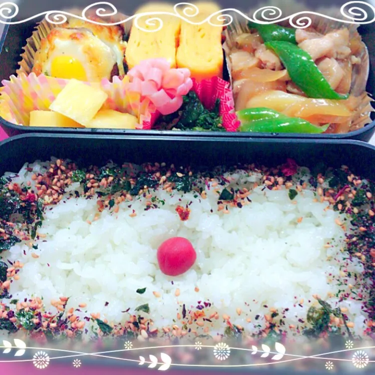 ～今日のお弁当～|Risaさん