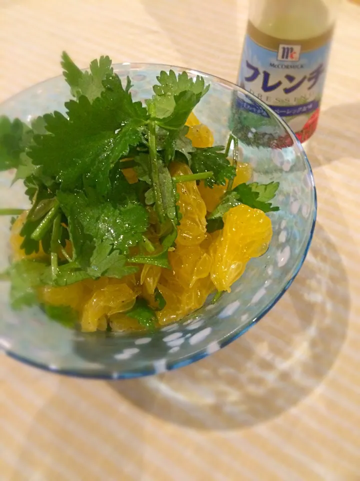 八朔とパクチーのサラダ|acoさん