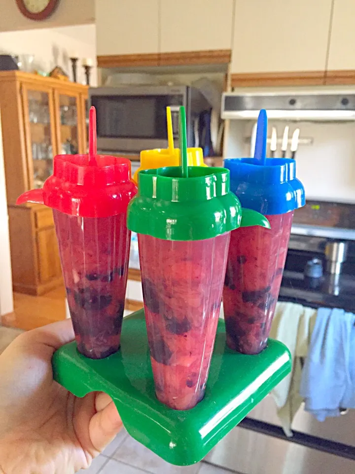 Coconut water, grapefruit, and blackberry popsicles|riley cさん