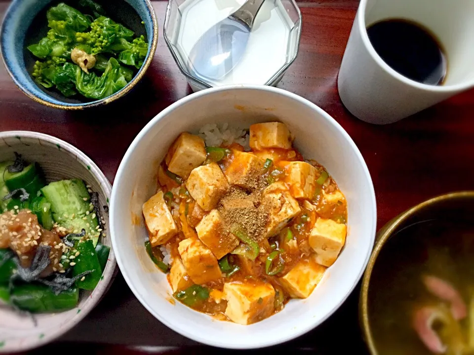 そこにシビれるあこがれる麻婆丼定食♪|Ryu-ren Suzukiさん