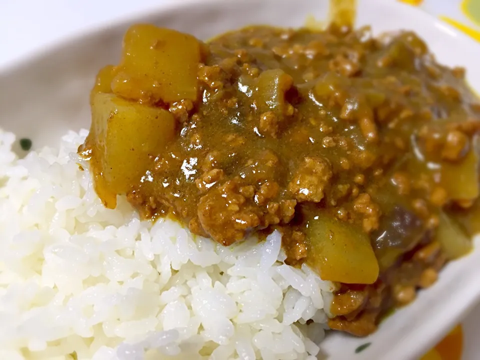 大根と茄子のミンチカレー|tsumimiさん