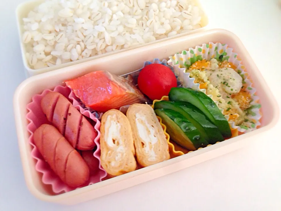 今日のお弁当 2016.3.25|ぴのさん