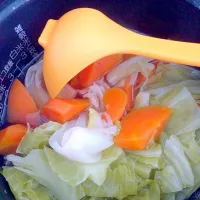 Snapdishの料理写真:炊飯器で作る手抜き野菜スープ|(・ω・)さん