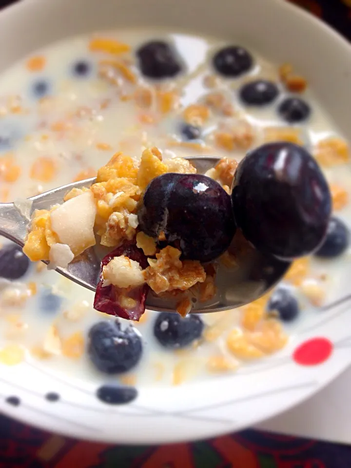 Muesli with blueberry|March☀さん