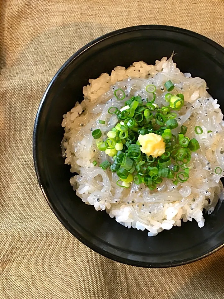 Snapdishの料理写真:生しらす丼✨|がうママさん