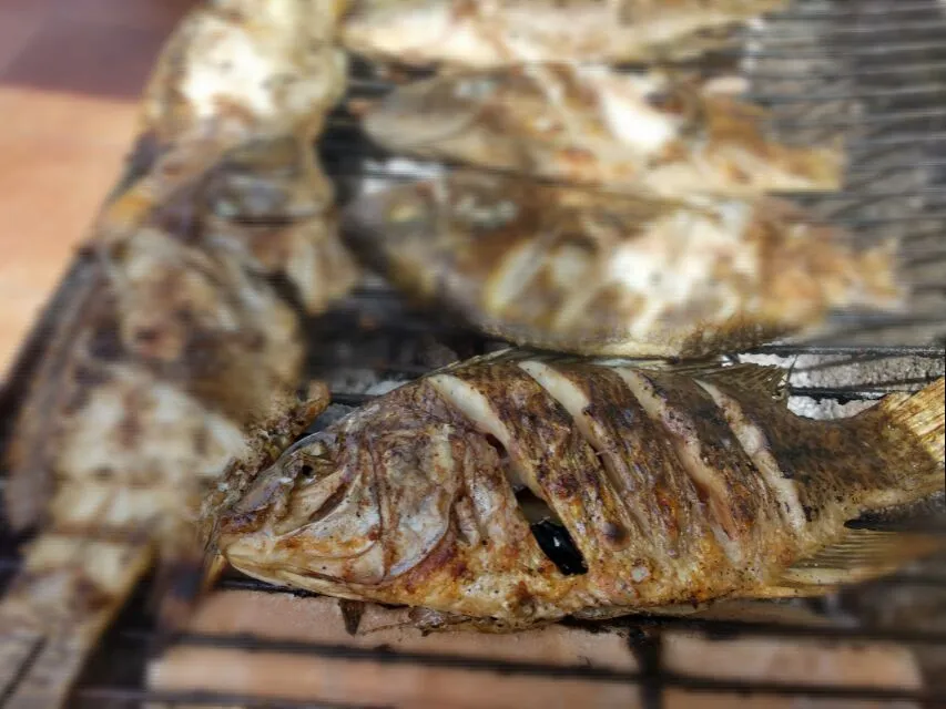 Mojaritas a la parrilla

 #grill
#parrilla #Comida Mexicana #mexican food|Javier Rdz.さん