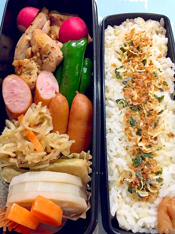 今日のお弁当|chiinaさん