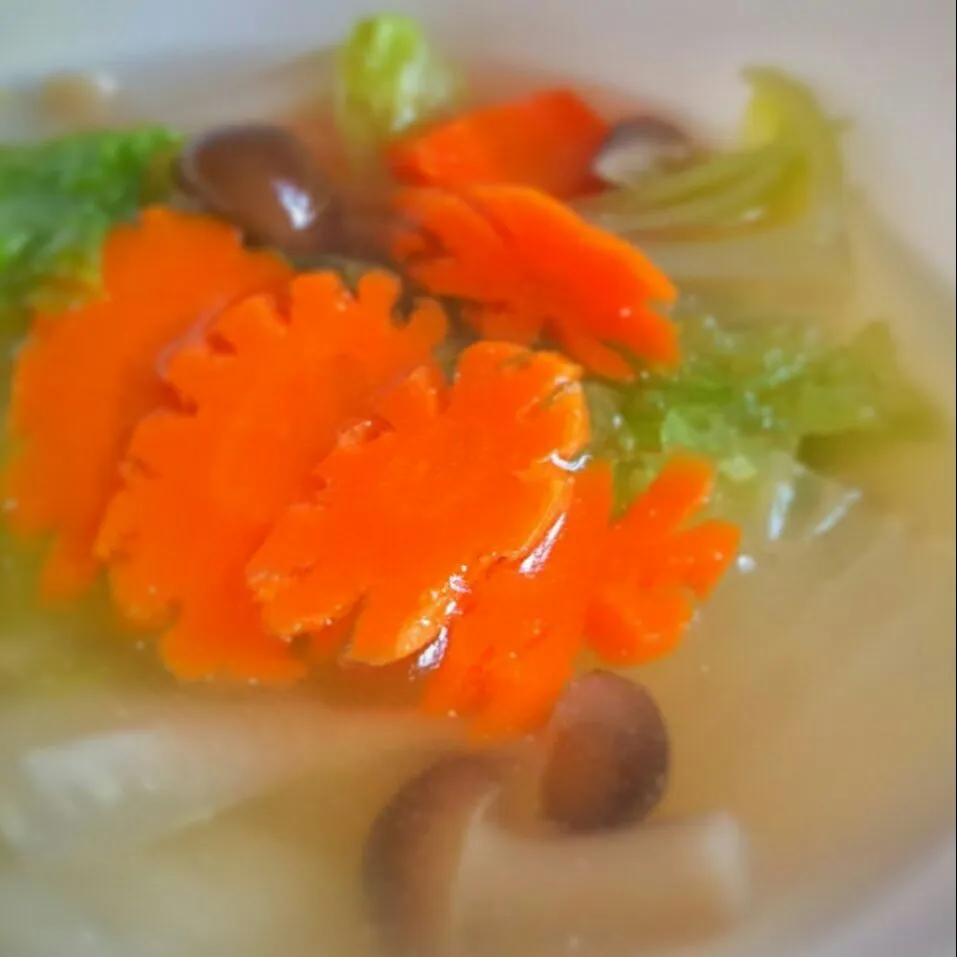 vegetables chicken broth #light #soupy|Chua Jeanさん