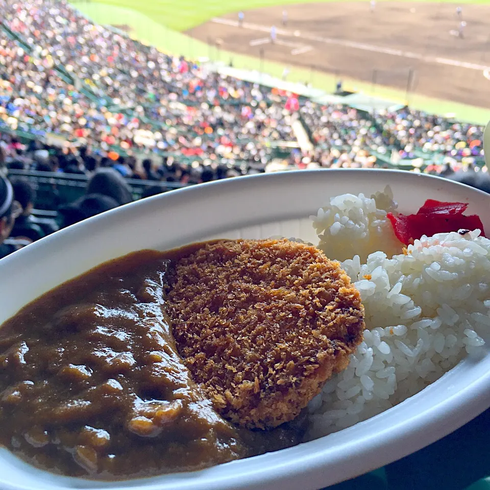 Snapdishの料理写真:甲子園カレー♡♡|Yoshinobu Nakagawaさん