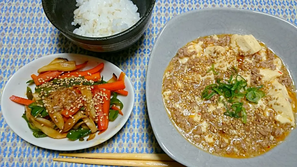 麻婆豆腐、野菜もりもりきんぴら|よめちゃんさん