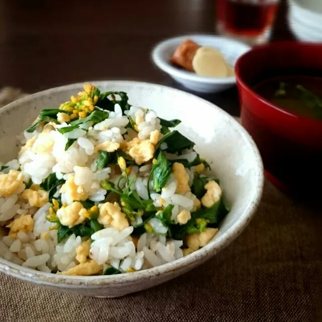 アッチさんの 菜の花ごはん|うさかめさん