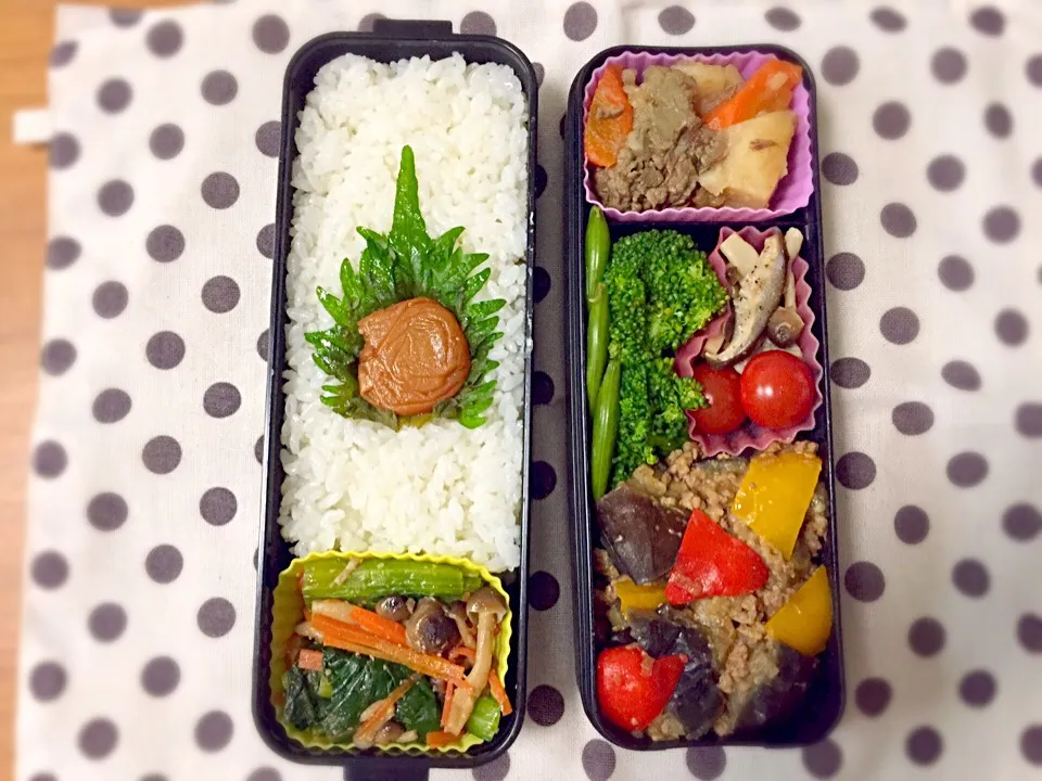 茄子とパプリカの味噌炒め弁当。|ももみにゃん。さん