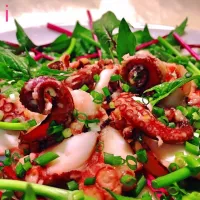 🐙たこの酒粕漬け炙り 【Grilled octopus marinated with sake lees】