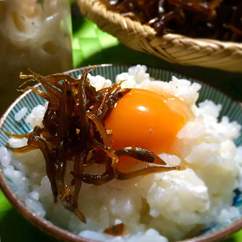 Snapdishの料理写真:春・いかなごのくぎ煮をのせて 〜nao子se川さんのお料理 ふわふわTKG ♪|angiee♡さん