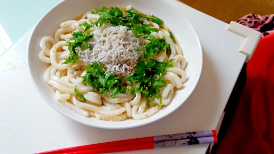 Snapdishの料理写真:しらすと大葉の冷やしうどん|mky710801さん