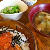 いくら丼
茄子と油揚げのみそ汁
春キャベツのナムル
自家製ぬか漬け|青さん