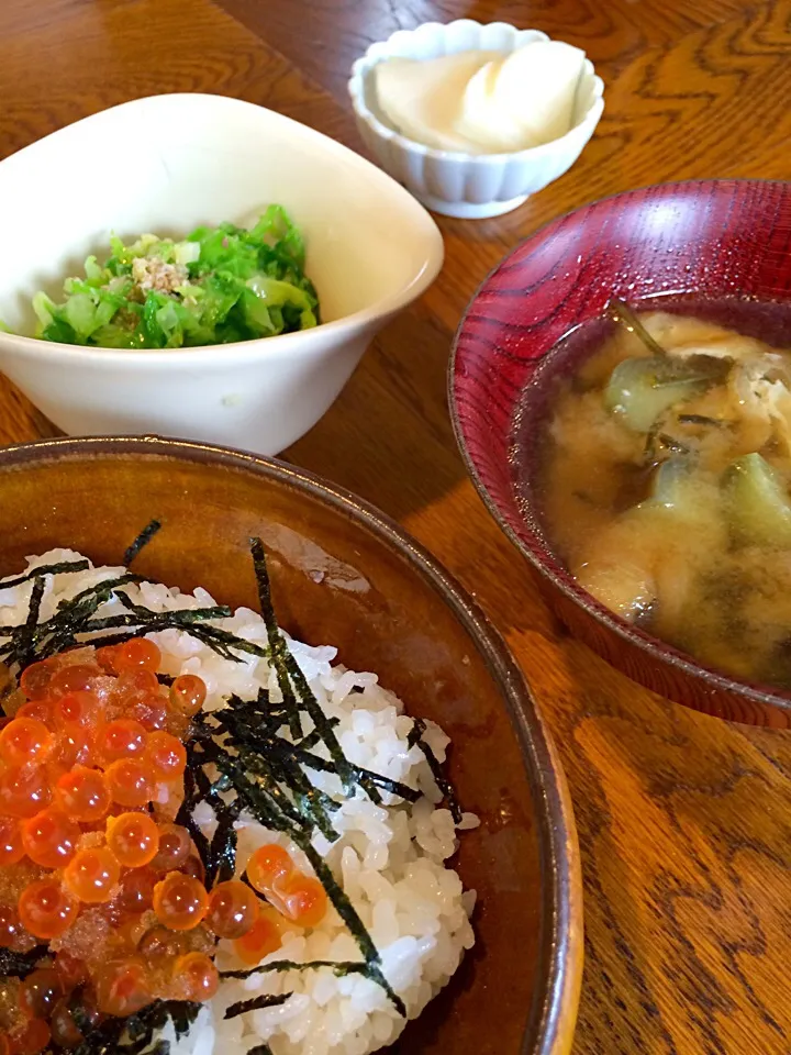 いくら丼
茄子と油揚げのみそ汁
春キャベツのナムル
自家製ぬか漬け|青さん