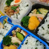 Snapdishの料理写真:春休み弁当。１日目|Nakkoさん