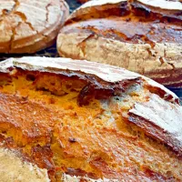 Sourdough-caraway rye fresh out of the oven and into the sunshine!|Connie Decさん