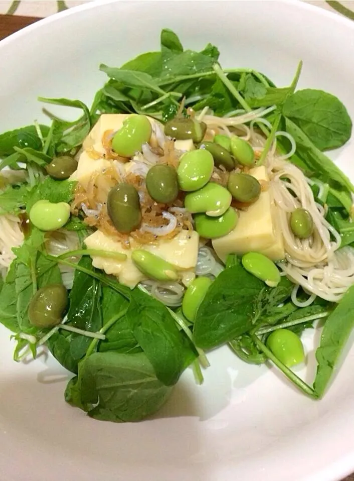 卵豆腐とベビーリーフのお素麺                       枝豆＆茶豆のせ🌿🌿🌿                                          麺つゆとゴマ油をかけて召し上がれ（≧∇≦）|🌿ぴぴさん