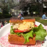 お花見サンド|まいっころさん