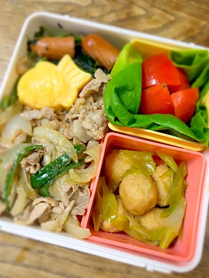 今日のお弁当
・生姜焼き丼風弁当
・鶏肉団子の昆布出汁煮
・ほうれん草とソーセージの炒め
・蒸し玉子焼き
・丸ごとトマト|akiさん