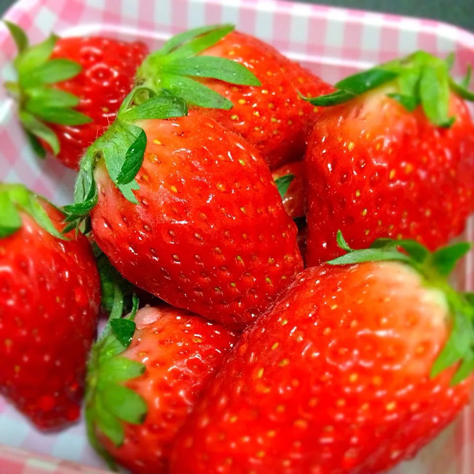 大きく真っ赤な苺を貰いました🍓|まあやさん