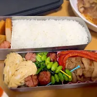 新入社員の彼にお弁当|小川綾香さん