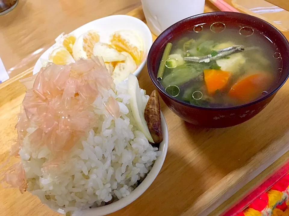 Snapdishの料理写真:花ふわり🌸ねこまんま🍚🐱|かわちさん