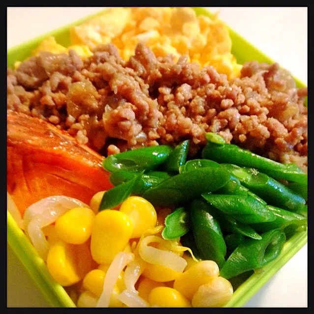 そぼろ丼弁当。Rice bowl Lunch box, topped with Seasoned Ground meat|toyamadaさん